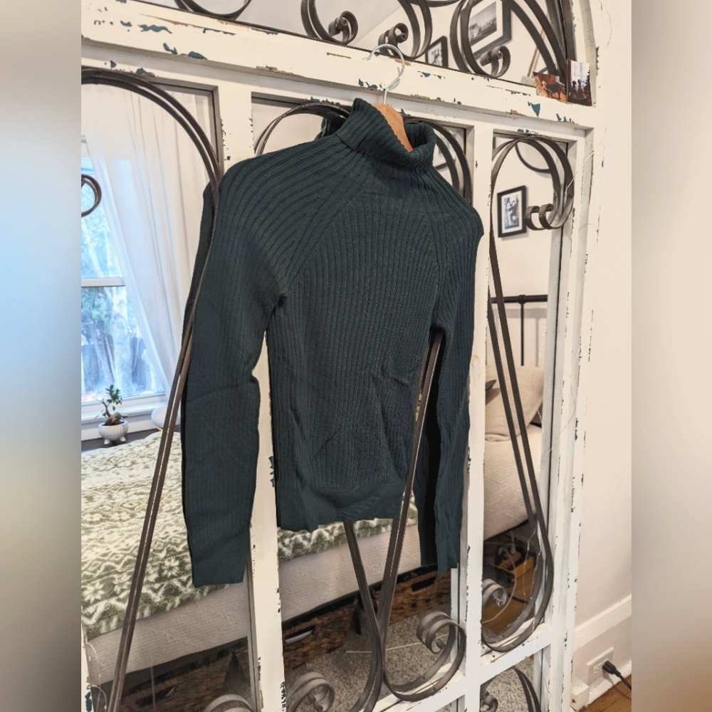 Dynamite turtleneck sweater